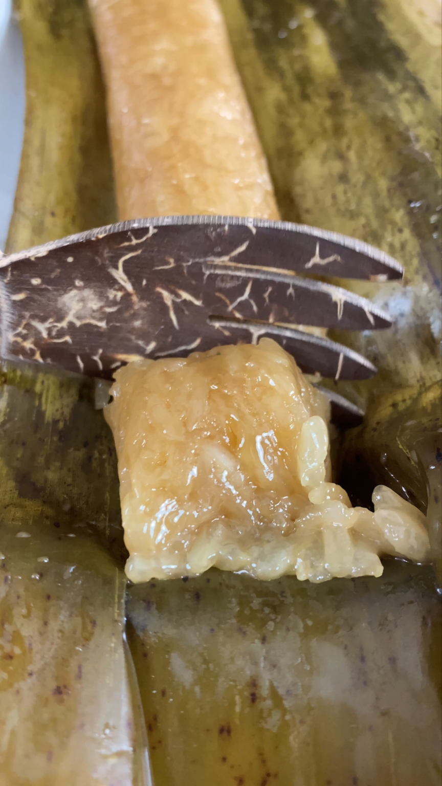 SUMAN main image 1